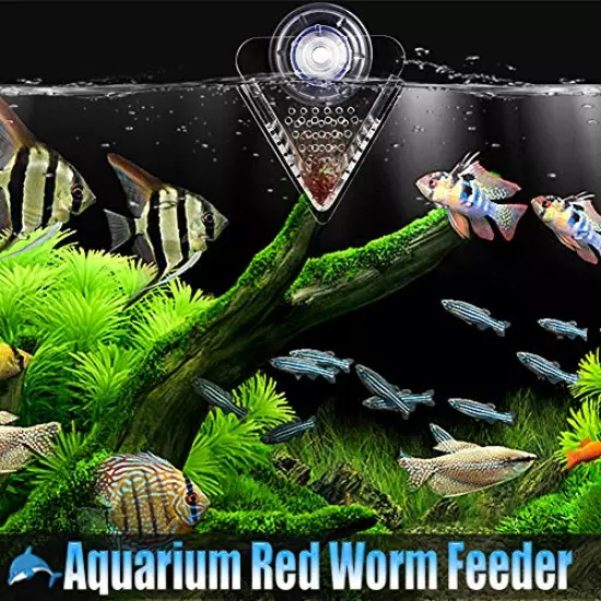 IAFVKAI Aquarium Cone Red Worm Feeder Acrylic V-Shape Automatic Fish Feeder Brine Shrimp Food Feeding Cup with Suction Cup