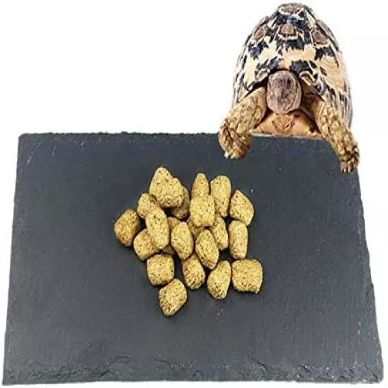 Tfwadmx Reptile Basking Platform, Tortoise Feeding Dish, Natural Rock Reptile Food Bowl Landscape Habitat Decor For Turtle Lizard Bearded Dragon Crested Gecko Snake