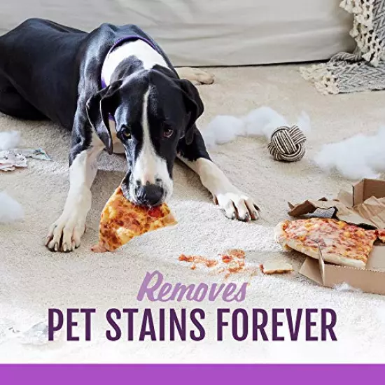 Stainmaster Carpet Pet Stain Remover, 22 Fl Oz (Packaging May Vary)