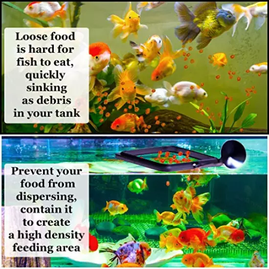 SunGrow Feeding Ring, Floating Food Square, Suitable for Flakes and Floating Fish Food for Goldfish and Other Smaller Fish