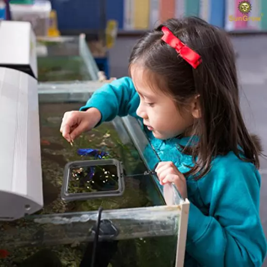 SunGrow Feeding Ring, Floating Food Square, Suitable for Flakes and Floating Fish Food for Goldfish and Other Smaller Fish