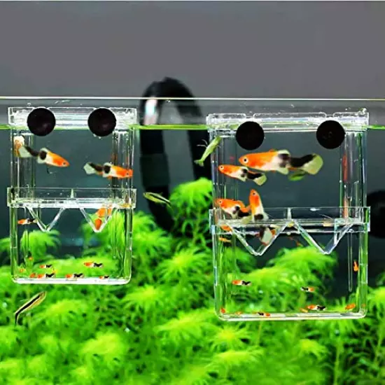 in-Tank Aquarium Breeder Box for Fish Tank, Breeding Incubator for Small Fish Hatchery, Acrylic Divider for Shrimp Clownfish Aggressive Fish Injured Fish