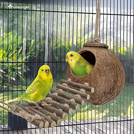 Niteangel 100% Natural Coconut Hideaway with Ladder, Bird and Small Animal Toy