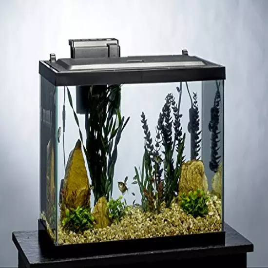 Tetra Aquarium 20 Gallon Fish Tank Kit, Includes LED Lighting and Decor