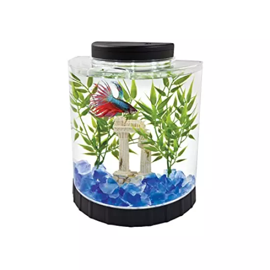 Tetra LED Half Moon aquarium Kit 1.1 Gallons, Ideal For Bettas, Black, 4.6 x 9.1 x 9.9 Inches (29049)