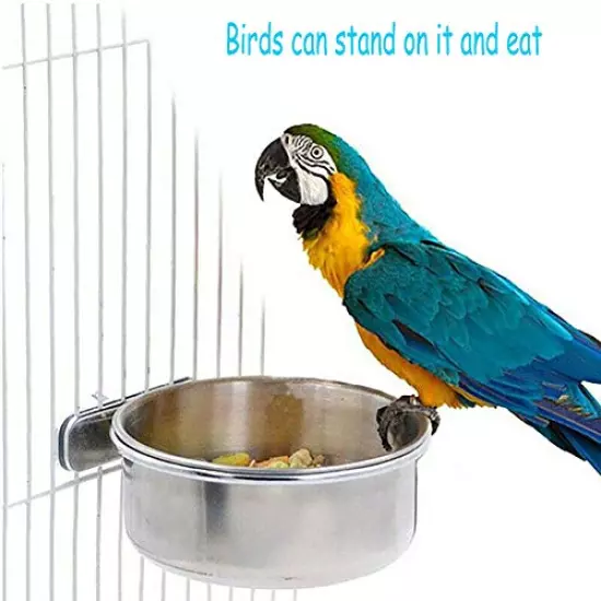 PINVNBY Parrot Feeding Cups Birds Food Dish Stainless Steel Parrot Feeders Water Cage Bowls with Clamp Holder for Cockatiel Conure Budgies Parakeet Parrot Macaw Small Animal Chinchilla Pack of 2