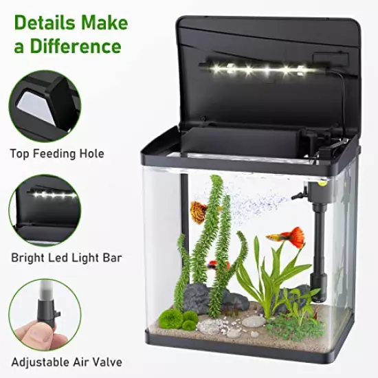 PONDON Fish Tank, 3 Gallon Glass Aquarium, 3 in 1 Fish Tank with Filter and Light, Desktop Small Fish Tank for Betta Fish, Shrimp, Goldfish