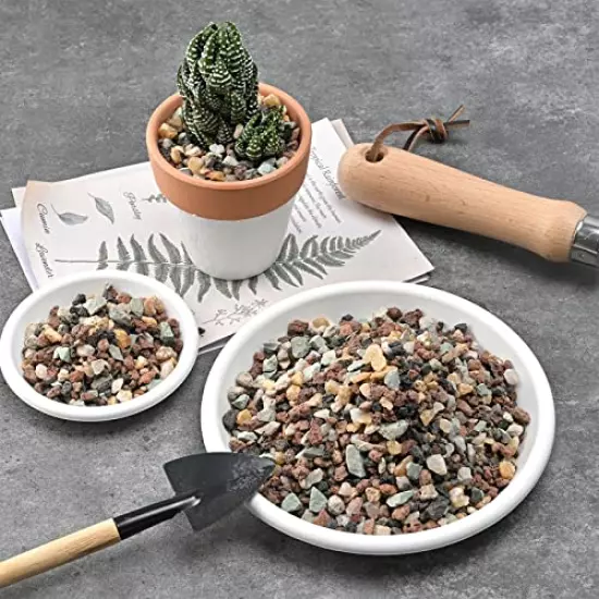 Succulent Cactus Bonsai Gritty Mix Stones (2 LB), Small Decorative Horticultural Gravel Rocks for Aquarium, Terrariums, Fairy Garden, Top Dressing, Soil Additive for Potted Houseplants