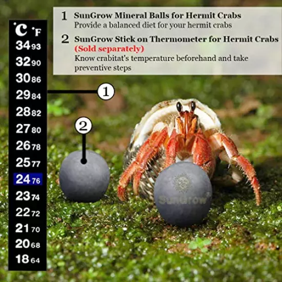 Sungrow 10 Hermit Crab, Crayfish Calcium Supplement Balls, Beneficial For Molting Pets, With Over 30 Beneficial Minerals