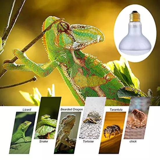 SMART EGG Reptile Heat Lamp Bulb Light, UVA Basking Spot Daylight Heat Lamp 2 Pack For Lizard Tortoise Bearded Dragon Hedgehogs Amphibians Ceramic Heat Bulb