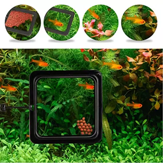 ZRDR Fish Feeding Ring, 2 Pack Black Aquarium Floating Food Feeder Circle Small Round and Square with Flexible Lever Suitable and Suction Cup, Reduces Fish Feeder Waste and Maintains Water Quality