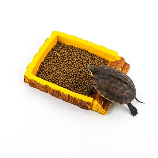 AQUA KT Reptile Ramp Water Bowl Food Dish For Lizard Snake Tortoise Beard Dragon Amphibians Feeding Terrarium Habitat