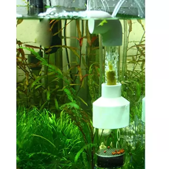 YOFAN Aquarium Cichlids Fish Egg Incubator Tumbler Fish Hatchery Mouth-Brooding 50mm