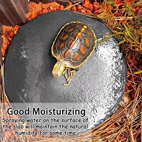 Tfwadmx Reptile Basking Platform, Tortoise Feeding Dish, Natural Rock Reptile Food Bowl Landscape Habitat Decor For Turtle Lizard Bearded Dragon Crested Gecko Snake