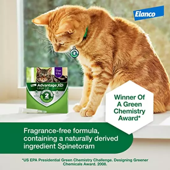 Advantage XD Long-Lasting Flea Prevention & Treatment for Large Cats (Over 9 lbs)