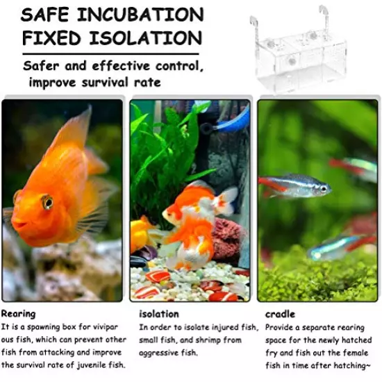 ATPWONZ Fish Breeding Box, Acrylic Fish Isolation Box Aquarium Hatchery Incubator with Suction Cups for Newborn Fry Shrimp Guppy Clownfish Aggressive Fish, 11.5" x 6" x 6"