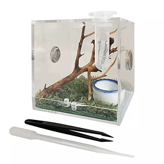 JOBEDE Spider Terrarium, Acrylic Reptile Breeding Box Jumping Spider Enclosure With Dropper Tongs For Tarantula Scorpion Sling Isopods Invertebrates Insects Mantis Snake Gecko Frog