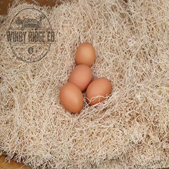 Windy Ridge Co. Natural Chicken Nesting Pads - 10 Pack - Aspen Excelsior Bedding Hen Nest Box Liners - USA Made - 13" x 13"