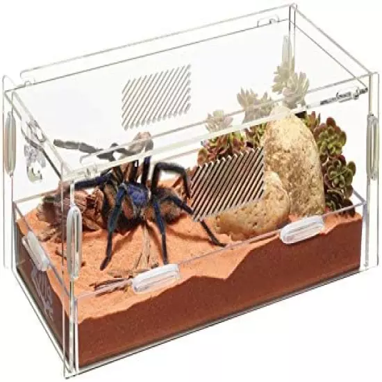 Zilla Micro Habitat Terrariums With Locking Latch Clear