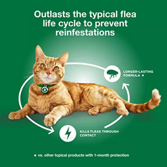 Advantage XD Long-Lasting Flea Prevention & Treatment for Large Cats (Over 9 lbs)