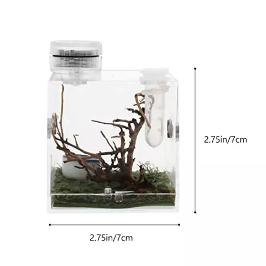 NUOBESTY Spider Habitat Box Jumping Spider House Transparent Tarantula Holder with Lamp Insect Hatching Container for Snail Spider Reptile Lizards Supplies