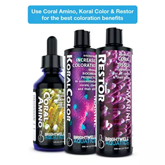 Brightwell Aquatics CoralAmino - Amino Acid Complex for Coral Coloration & Growth, 60 ml