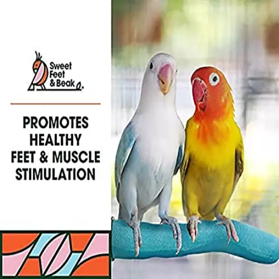 Sweet Feet and Beak Safety Pumice Perch for Birds Features Pumice to Trim Nails and Beak and Promote Healthy Feet - Safe and Non-Toxic, for Bird Cages