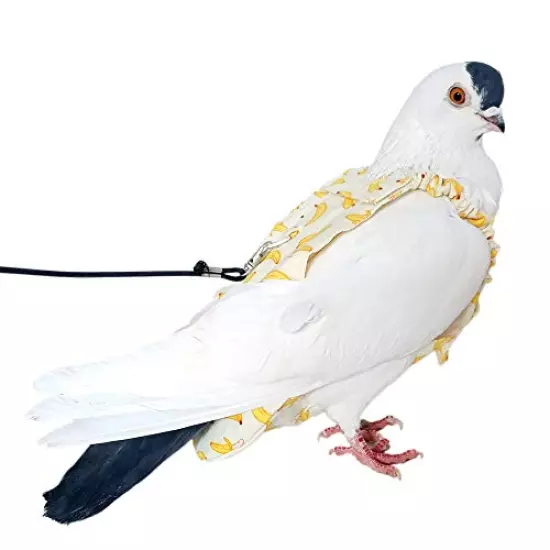 YUYUSO Pigeon Dove Diaper Pants with Leash for Pigeon Dove