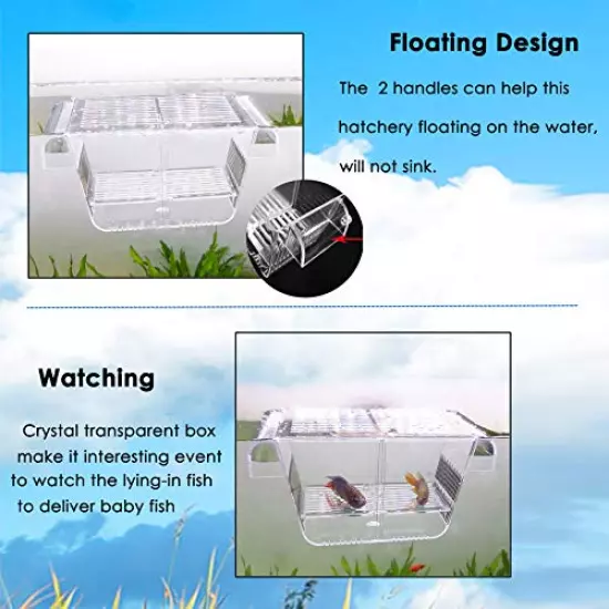 capetsma Fish Breeding Box, Acrylic Fish Isolation Box with Suction Cups, Aquarium Acclimation Hatchery Incubator for Baby Fishes Shrimp Clownfish and Guppy.