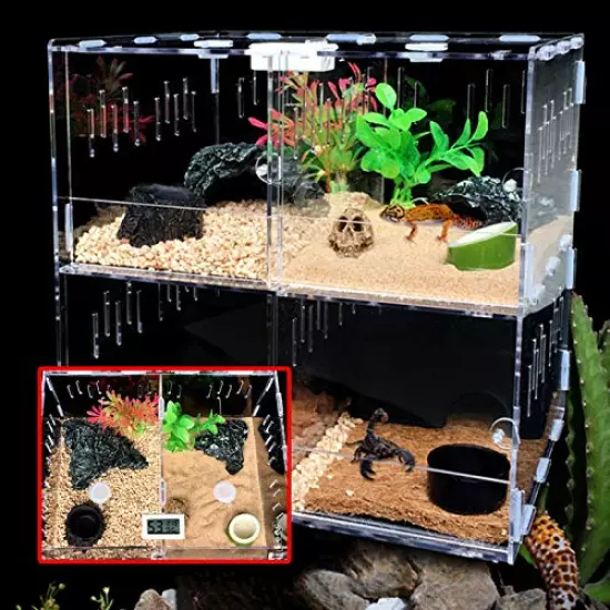 Reptile Terrarium Cage ,4 Grids Reptile Cage Enclosure Box Tarantula Insect Scorpion Clear Display Case