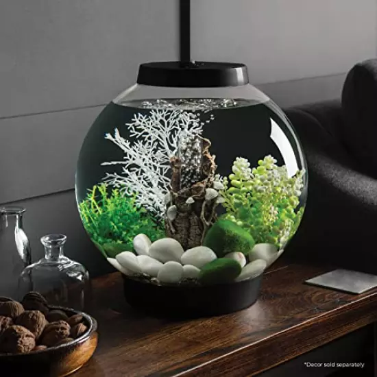 biOrb Classic Aquarium