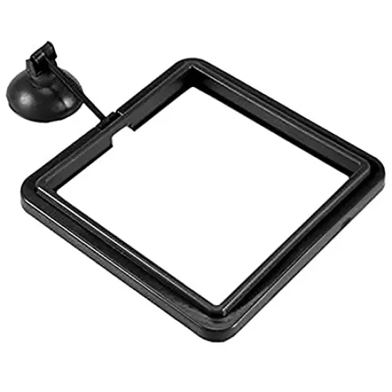 SunGrow Feeding Ring, Floating Food Square, Suitable for Flakes and Floating Fish Food for Goldfish and Other Smaller Fish