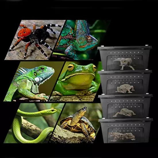 OMEM Portable Reptile Terrarium Habitat For Mini Pet Houses