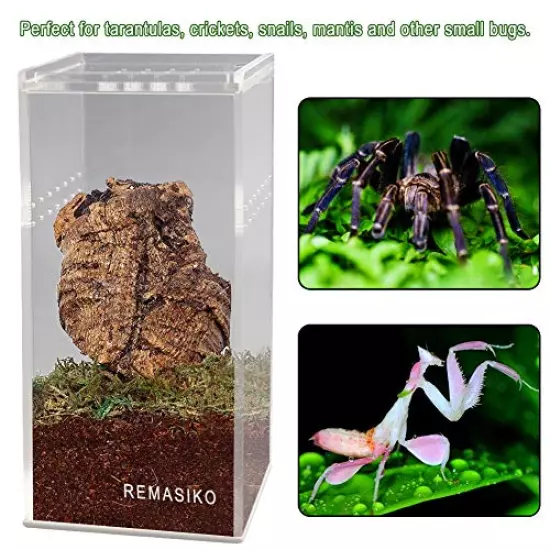 REMASIKO Magnetic Acrylic Reptile Cage 3"x3"x6" Nano Tall Enclosure Transparent Reptile Breeding Box Terrarium Tank Tarantula Scorpion Sling Isopods Invertebrates Insect Mantis