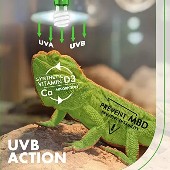 REPILOGI UVB Reptile Light 10.0 13 Watt - UVA UVB Bulb For All Desert Dwelling Reptiles,Turtle, Bearded Dragon, Lizard, Gecko Etc. - Fluorescent Simulation Color UVB Light Fixture With Bulb