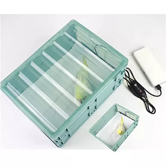 Manual Incubator 2 Gallon Birds Parrot Small Animals Thermostat Breeding Box Bird Eggs Hatching Brooder Heater