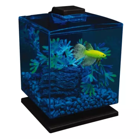 GloFish Aquarium Kit w/Hood, LED Lights and Whisper Filter