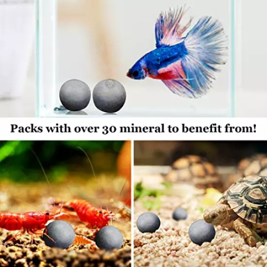 Sungrow 10 Hermit Crab, Crayfish Calcium Supplement Balls, Beneficial For Molting Pets, With Over 30 Beneficial Minerals