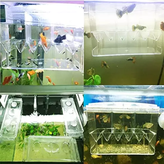 PINVNBY Fish Breeding Box Aquarium Acrylic Fish Isolation Breeder Box Acclimation Hatchery Incubator Box with Suction Cups for Baby Fishes Shrimp Clownfish Aggressive Fish and Guppy