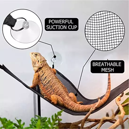 Ckjtfiudst 2 Pack Bearded Lizard Dragon Hammock , Reptile Lizard Lounger, Ladder Bearded Dragon Hammock , Accessories For Bearded Dragons Geckos Lizards Reptile Green Black