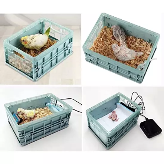 Manual Incubator 2 Gallon Birds Parrot Small Animals Thermostat Breeding Box Bird Eggs Hatching Brooder Heater