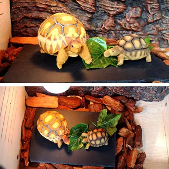 Tfwadmx Reptile Basking Platform, Tortoise Feeding Dish, Natural Rock Reptile Food Bowl Landscape Habitat Decor For Turtle Lizard Bearded Dragon Crested Gecko Snake