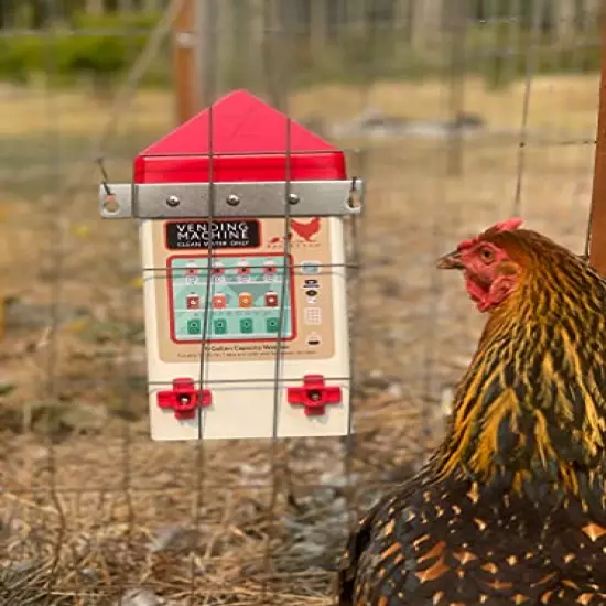 Small Cage Waterer- 1 Gallon Capacity for Chicks/Quails/Pigeons/Gamebirds