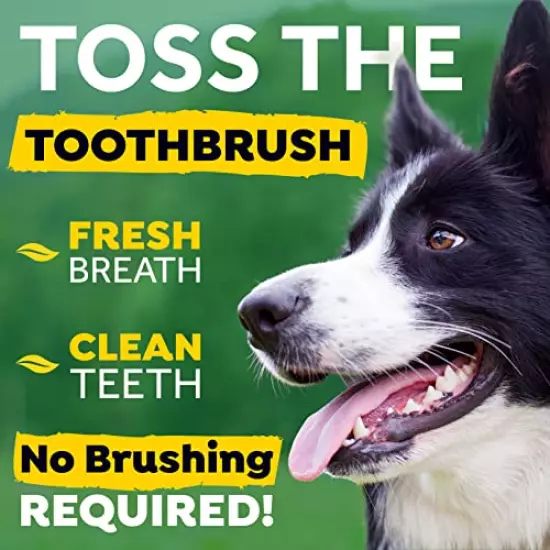 TropiClean Fresh Breath Oral Care Water Additive for Dogs - Dog Breath Freshener - Plaque & Tartar Defense - No Toothbrush Required