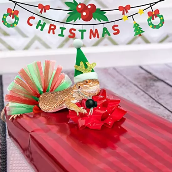 Vehomy 4Pcs Christmas Bearded Dragon Costume Christmas Bearded Dragon Santa Claus Hats Christmas Bearded Dragon Lizard Tutu Skirts Xmas Beardy Lizard Outfit for Chick Hamster Bird Parrot