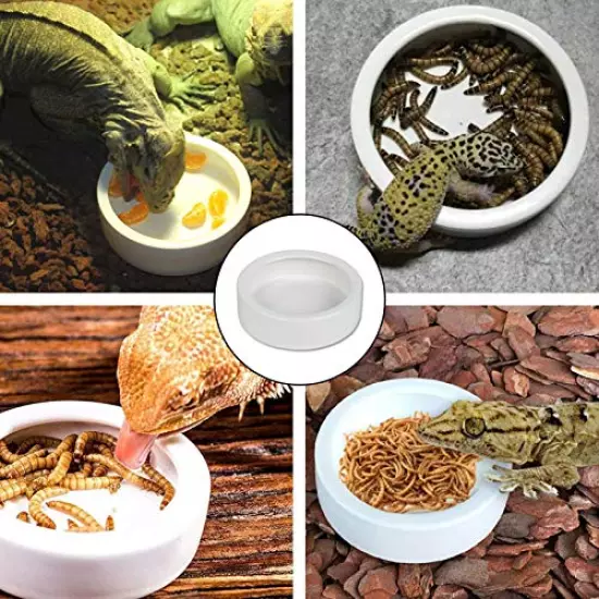 WUHOSTAM Ceramic Reptile Food And Water Bowl Set Of 3,Mini Reptile Feeding Dish,Worm Dish For Lizard Anoles Bearded Dragons(with Tweezer)