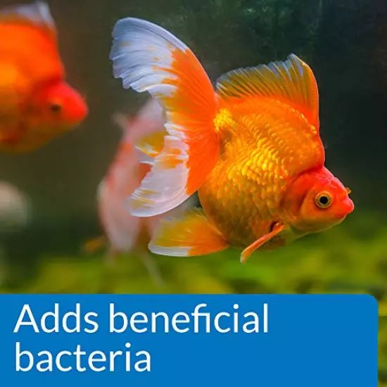 API Goldfish Products: Water Conditioner to Make tap Water Safe When Adding or Changing Water and When Adding New Fish, Aquarium Cleaner to use Weekly to Consume Sludge to Help Keep Gravel Clean