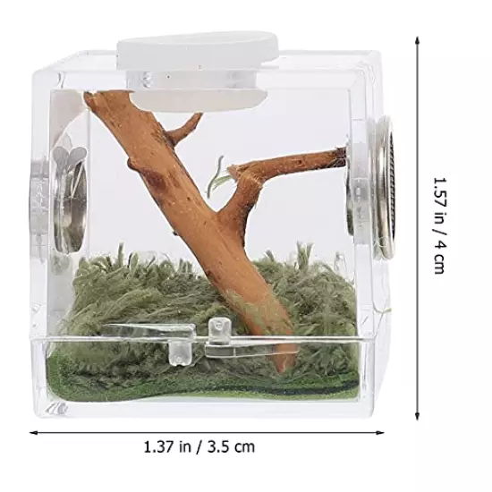 NUOBESTY 2 Set Spider Terrarium Acrylic Critter Keeper Jumping Spider Enclosure Snail Container House Reptile Terrarium Insect Enclosure Tank Snail Spider Habitat 3. 5X3. 5X4CM