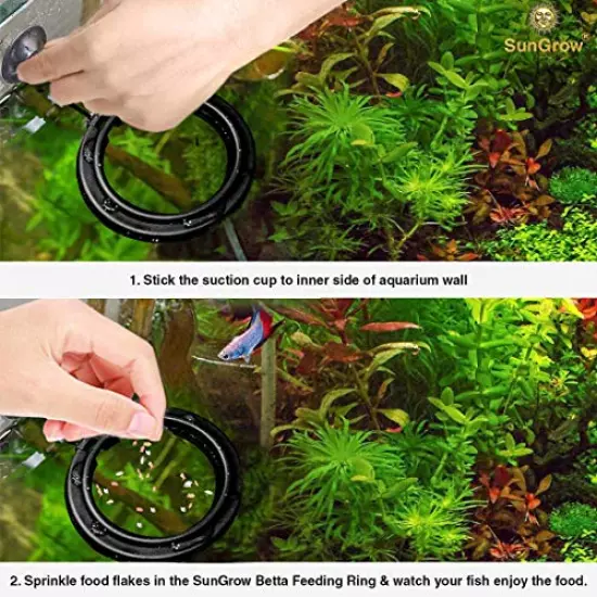 SunGrow Betta Feeding Ring, Prevent Water Turbulence from Washing Food into Filter, Practical Round Floating Food, Suitable for Guppy, Goldfish and Other Small Fish