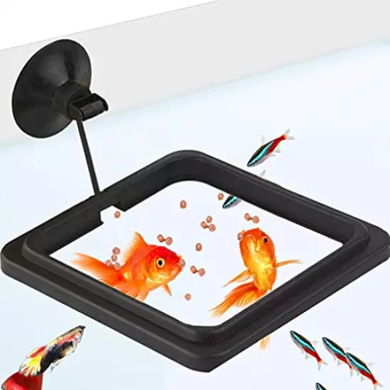 SunGrow Feeding Ring, Floating Food Square, Suitable for Flakes and Floating Fish Food for Goldfish and Other Smaller Fish